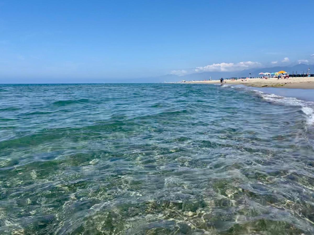 La Terrazza Del Pino Leilighet Torre del Lago Puccini Eksteriør bilde