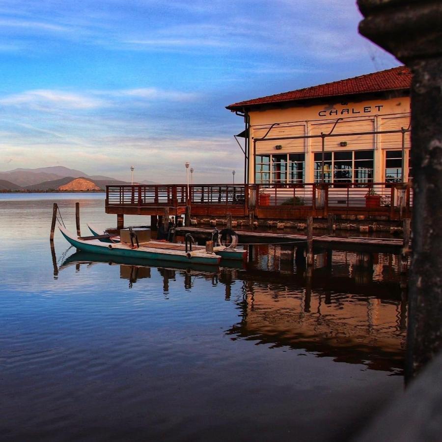 La Terrazza Del Pino Leilighet Torre del Lago Puccini Eksteriør bilde